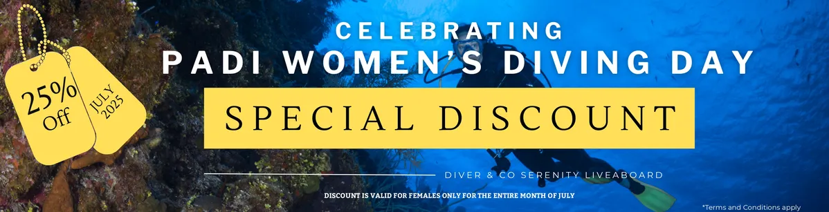 Special Offer - Click to view schedule